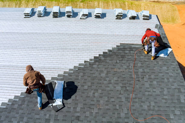 Best Storm Damage Roof Repair  in Hoyt Lakes, MN