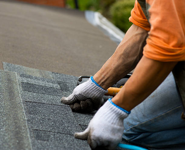 Best Storm Damage Roof Repair  in Hoyt Lakes, MN